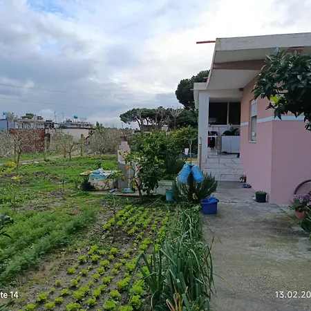 Apartment Tafa House *